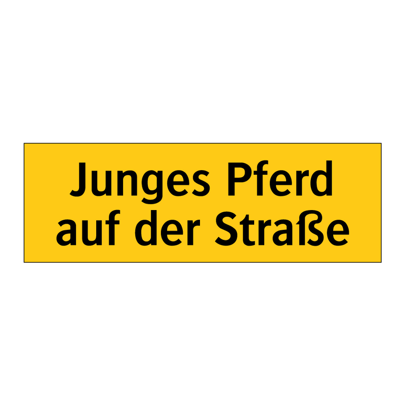 Junges Pferd auf der Straße