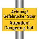 Achtung! Gefährlicher Stier - Attention! Dangerous bull