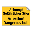 Achtung! Gefährlicher Stier - Attention! Dangerous bull