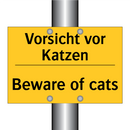 Vorsicht vor Katzen - Beware of cats