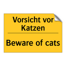 Vorsicht vor Katzen - Beware of cats