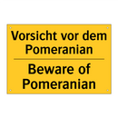 Vorsicht vor dem Pomeranian - Beware of Pomeranian