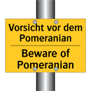 Vorsicht vor dem Pomeranian - Beware of Pomeranian