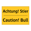 Achtung! Stier - Caution! Bull