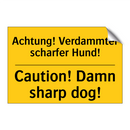 Achtung! Verdammter scharfer Hund!/.../ - Caution! Damn sharp dog!