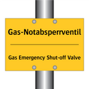 Gas-Notabsperrventil - Gas Emergency Shut-off Valve