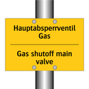 Hauptabsperrventil Gas - Gas shutoff main valve