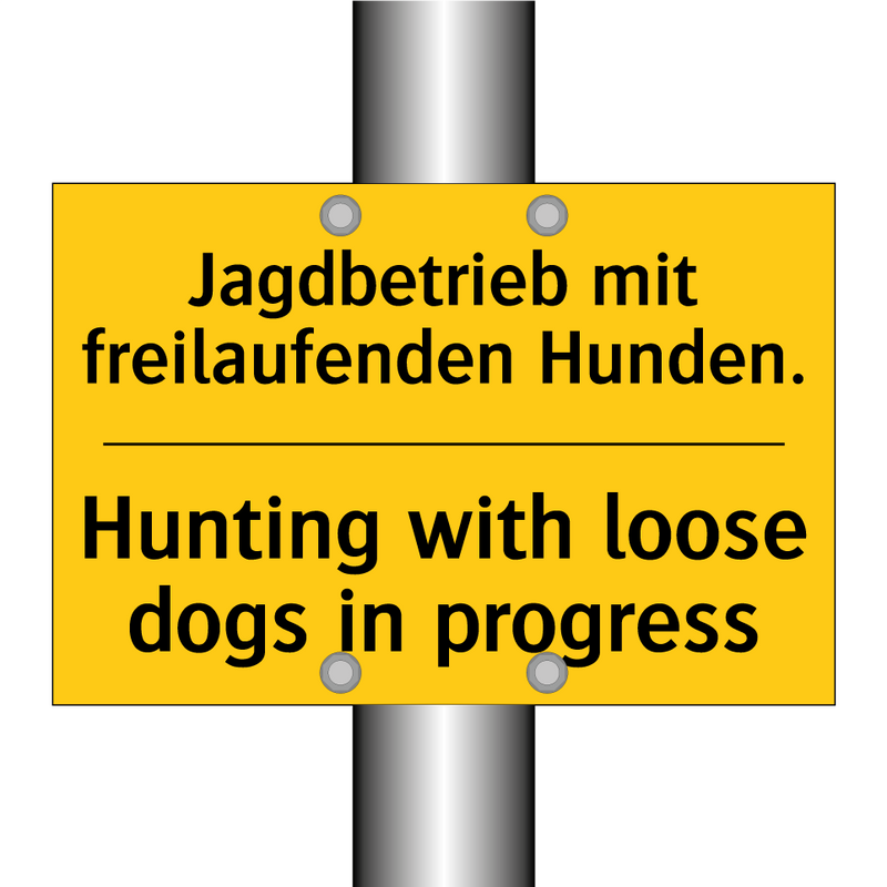 Jagdbetrieb mit freilaufenden /.../ - Hunting with loose dogs in progress/.../