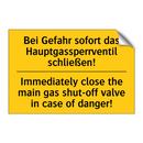 Bei Gefahr sofort das Hauptgassperrventil /.../ - Immediately close the main gas /.../