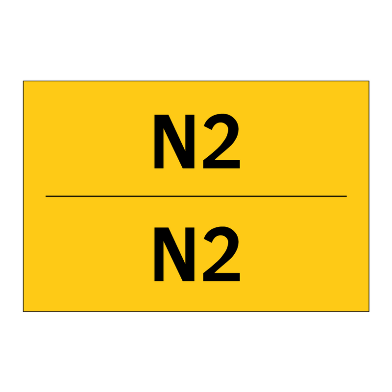 N2 - N2