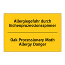 Allergiegefahr durch Eichenprozessionsspinner/.../ - Oak Processionary Moth Allergy /.../