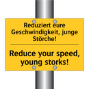 Reduziert eure Geschwindigkeit, /.../ - Reduce your speed, young storks!/.../