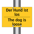 Der Hund ist los - The dog is loose