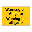 Warnung vor Alligator - Warning for alligator