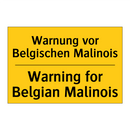 Warnung vor Belgischen Malinois/.../ - Warning for Belgian Malinois
