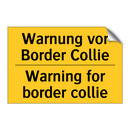 Warnung vor Border Collie - Warning for border collie