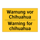 Warnung vor Chihuahua - Warning for chihuahua