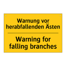 Warnung vor herabfallenden Ästen/.../ - Warning for falling branches