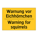 Warnung vor Eichhörnchen - Warning for squirrels