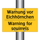 Warnung vor Eichhörnchen - Warning for squirrels