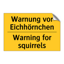 Warnung vor Eichhörnchen - Warning for squirrels