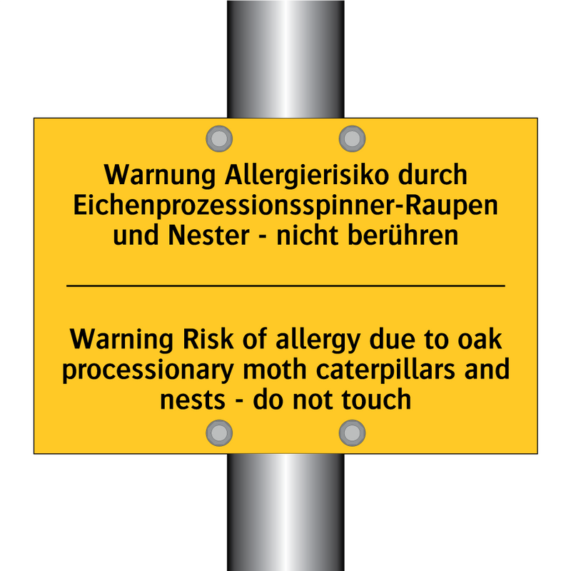 Warnung Allergierisiko durch Eichenprozessionsspinner-Raupen /.../ - Warning Risk of allergy due to /.../