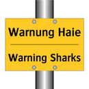 Warnung Haie - Warning Sharks