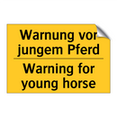 Warnung vor jungem Pferd - Warning for young horse