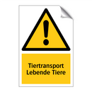 Tiertransport Lebende Tiere
