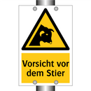 Vorsicht vor dem Stier