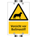 Vorsicht vor Bullmastiff