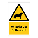 Vorsicht vor Bullmastiff