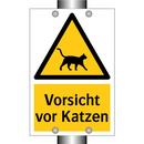 Vorsicht vor Katzen