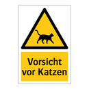 Vorsicht vor Katzen