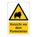 Vorsicht vor dem Pomeranian