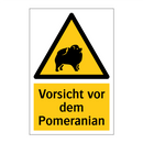 Vorsicht vor dem Pomeranian