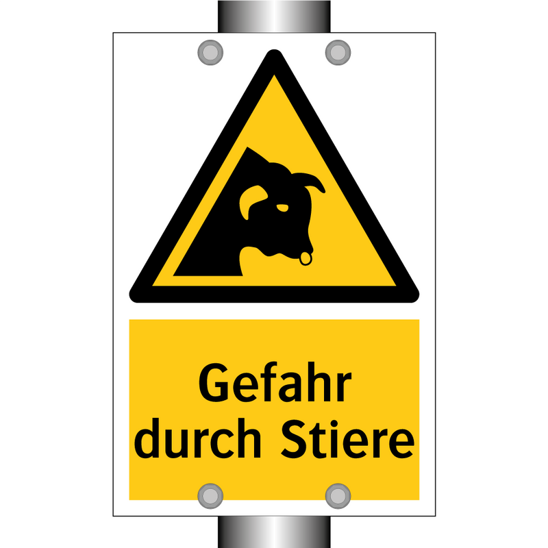 Gefahr durch Stiere