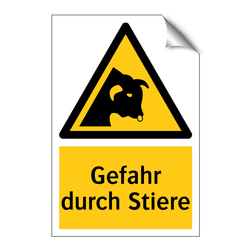 Gefahr durch Stiere