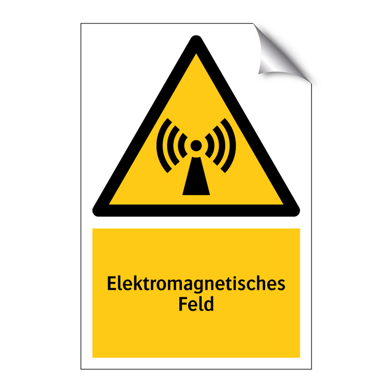 Elektromagnetisches Feld
