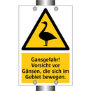 Gansgefahr! Vorsicht vor Gänsen, die sich im Gebiet bewegen.