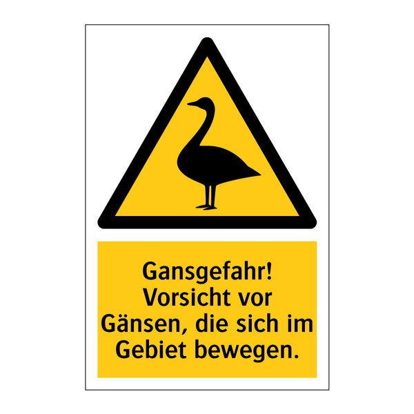 Gansgefahr! Vorsicht vor Gänsen, die sich im Gebiet bewegen.