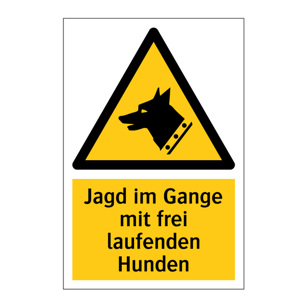 Jagd im Gange mit frei laufenden Hunden
