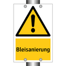 Bleisanierung