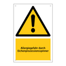 Allergiegefahr durch Eichenprozessionsspinner