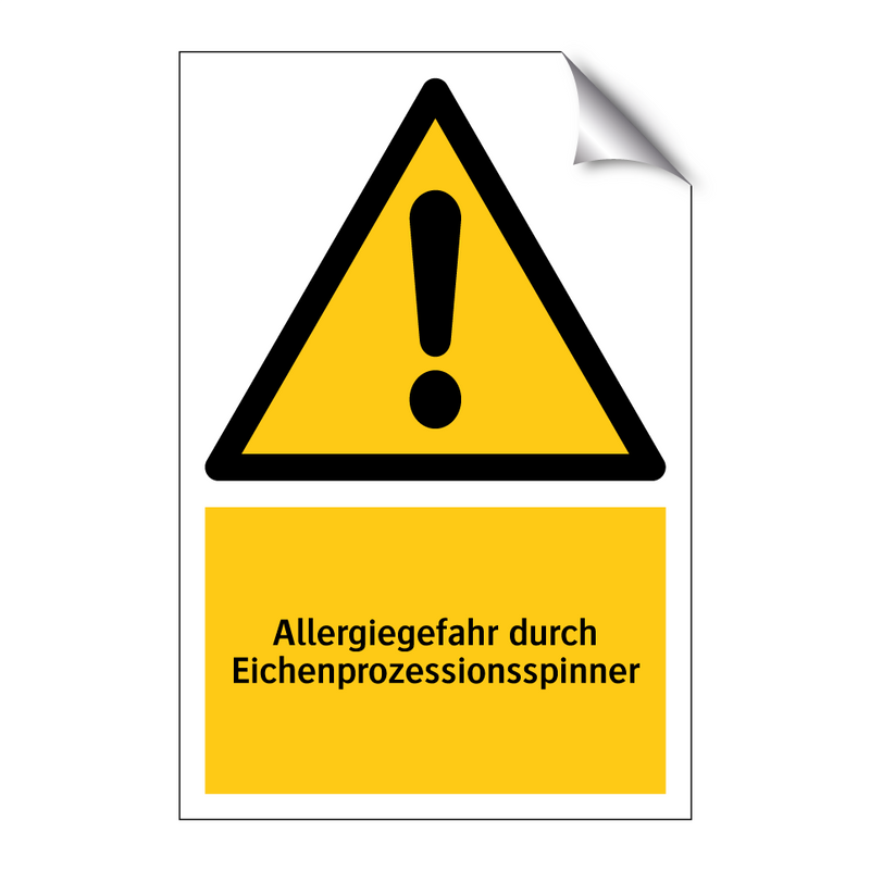 Allergiegefahr durch Eichenprozessionsspinner