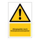 Allergiegefahr durch Eichenprozessionsspinner