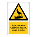 Reduziert eure Geschwindigkeit, junge Störche!