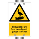 Reduziert eure Geschwindigkeit, junge Störche!
