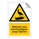 Reduziert eure Geschwindigkeit, junge Störche!