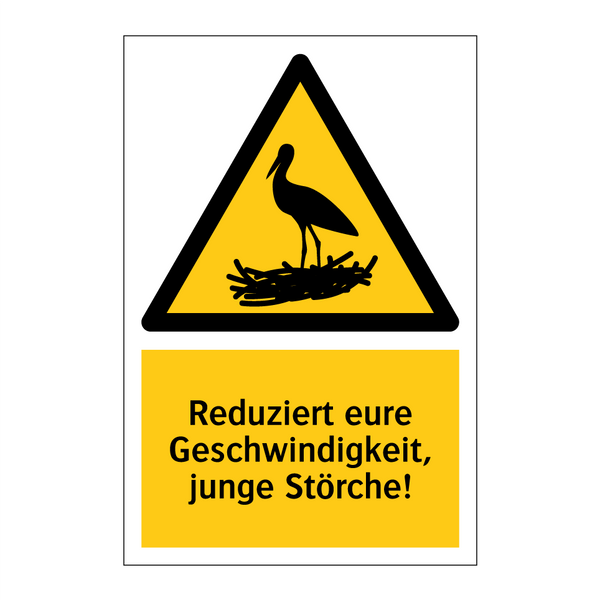Reduziert eure Geschwindigkeit, junge Störche!